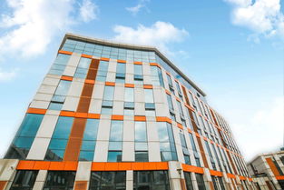 這附近的宜賓人太幸福,6萬(wàn)㎡商業(yè)廣場(chǎng),美食 休閑 醫(yī)院全覆蓋