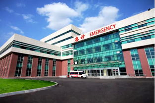 萬科首進沈北對外亮相 雷明鋼管廠項目奠基 定名萬科 北宸之光